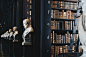 Bust, statue, man and library HD photo by Giammarco Boscaro (@giamboscaro) on Unsplash : Download this photo in Dublino, Irlanda by Giammarco Boscaro (@giamboscaro)