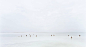 0706-051_Dead-Sea-II-27769