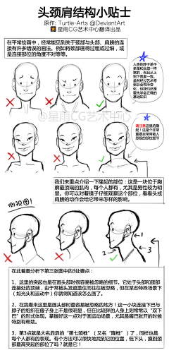 九恒采集到人体结构