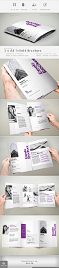 3xA4 Trifold Brochure - Corporate Brochures