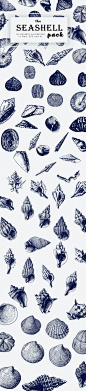 手绘线稿海产海洋元素海螺贝壳螺蛳PNG免抠AI矢量设计素材  (4)