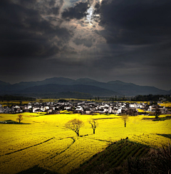 玉兒采集到中華地理--沿途路過風景