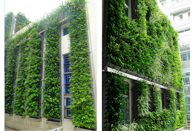 垂直绿化 立体绿化 建筑绿化 景观墙 建...