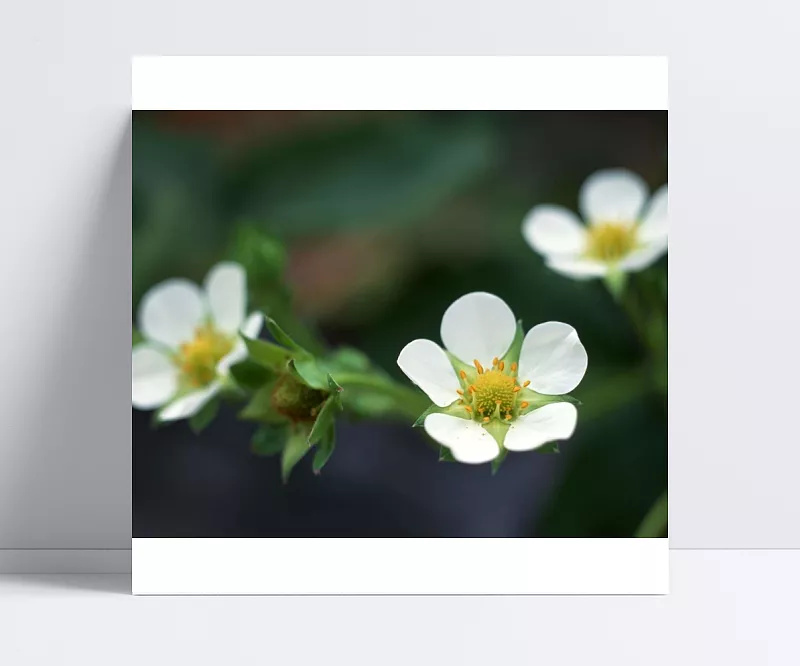 21a88e15629bebaa8f3324e96ef6edaf4c6850ab3008-xLJgol