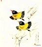 韩美林画禽鸟，萌化啦！