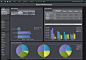 IBM Cognos Insight：What-if