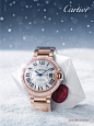 Cartier's Winter Tale Holiday Campaign '11