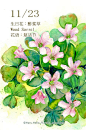 每日一花 11.23 (画完-Haru. Hello.
微博:豆芽君的haru酱