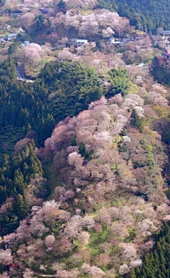 一之采集到日本素材