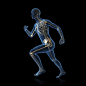 奔跑时的男性人体结构图片