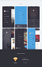 Kauf UI Kit on Behance