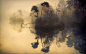 General 2500x1563 nature landscape mist sunrise lake trees water reflection shrubs fall bird calm morning