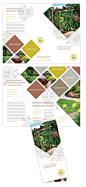 Modern Landscaping Tri Fold Brochure   Triangle photos