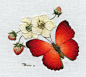 Embroidery Kit:  African Red Butterfly