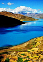 羊卓雍措，藏语意为“碧玉湖”、“天鹅池”，是西藏三大圣湖之一，被誉为世界上最美丽的水。