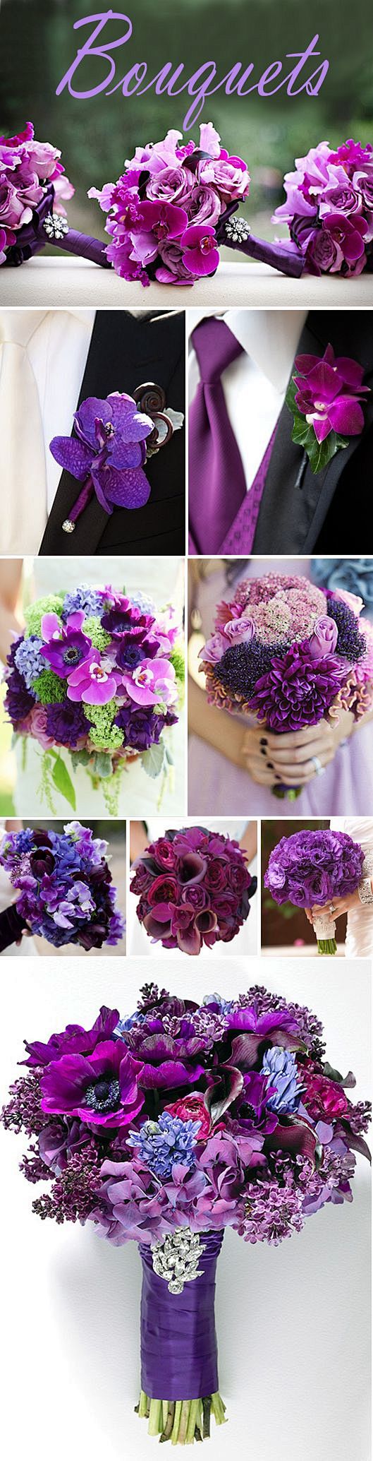 紫色的花束