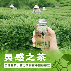 北行见杏花采集到茶