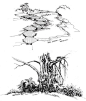 景源手绘创意营的树木风景类线稿作品29 - 老泥鳅素描论坛 http://www.laoniqiu.com #素描#