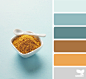 Design Seeds® | find your palette