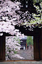 Kyoto，Japan