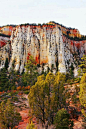 Zion National Park Utah