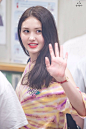 somi全昭美