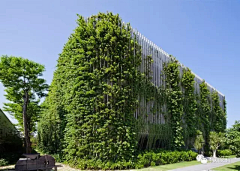 Ericxx采集到Green Building丨绿建筑