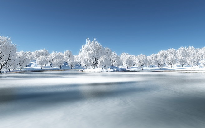 唯美树林雪景壁纸