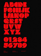 ZeroNine Typeface™ : ZeroNine Typeface™ Graphics designed by Anthony Neil Dart 2015