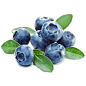 蓝莓png