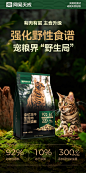 网易天成全价冻干生骨肉三拼猫粮成猫幼猫全价冻干猫粮-tmall.com天猫