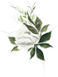 油画植物png (5)