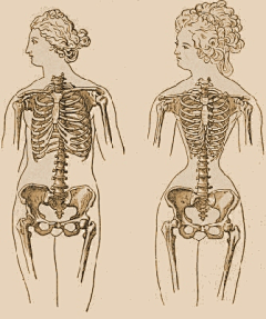 Jonathan-Wu采集到Anatomy