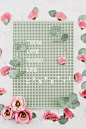 Pegboard, petal, pink and green HD photo by Georgia de Lotz (@georgiadelotz) on Unsplash : Download this photo in Thornbury, United Kingdom by Georgia de Lotz (@georgiadelotz)