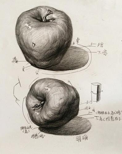 苹果素描的搜索结果_百度图片搜索