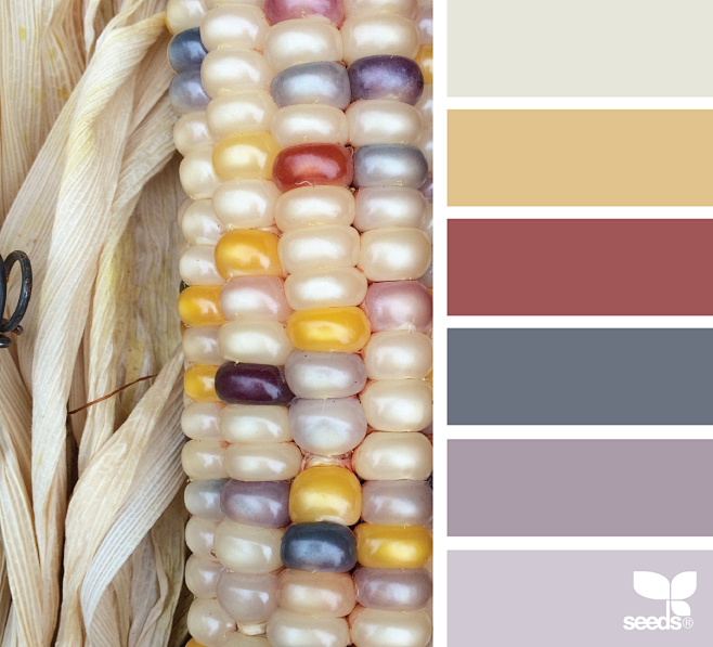 { color corn }