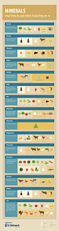 Nutrition: Minerals Cheat Sheet & Food Sources