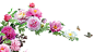 花-花朵PNG