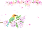 手绘春天鲜花桃花绿叶免抠_PNG：