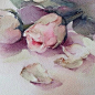 My painting's detail. This one is my private collection. :-)
#watercolor #rose #lover #sweet #art