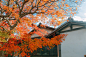 【　　　】 - 首刷红叶季京都[你的生活是我远道而来的风景],京都旅游攻略 - 马蜂窝