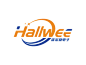 Hallwee电子有限公司标志设计方案26