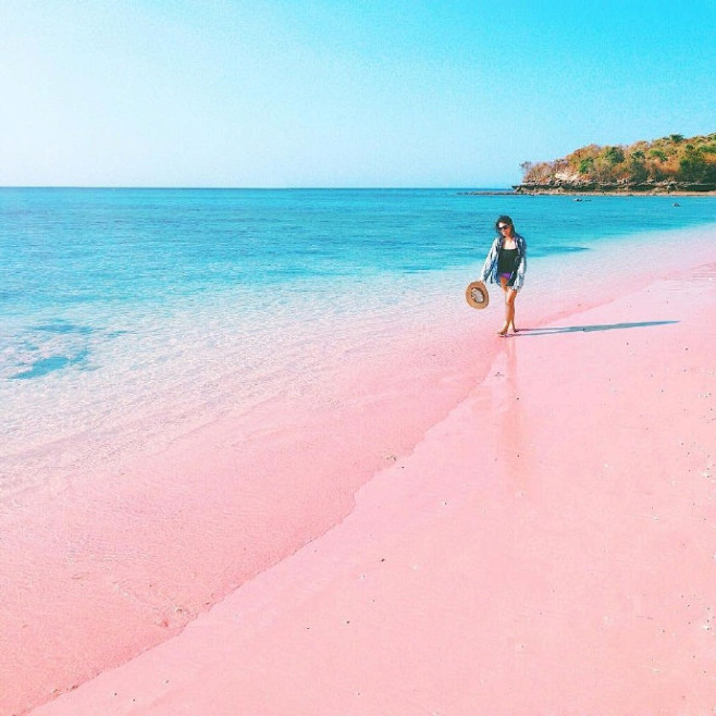 印尼科莫多岛的粉红沙滩，真是美的不像话的...