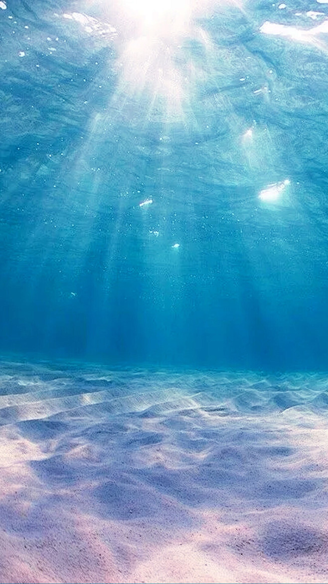 海