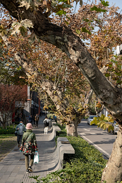 鵼ong采集到203 景观-街道