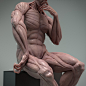 Male Écorché - Michelangelo's David, Kotaro Fukuda : Another pose version of ecorche project that I posted the other day.