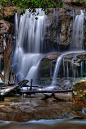 Photograph Cool running  by PETER JACKSON on 500px