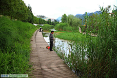 江少盛采集到河道景观