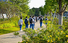 青冥梓墨采集到Landscape 城市道路景观