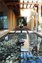 Indoor Pond. Amazing. | Water Features